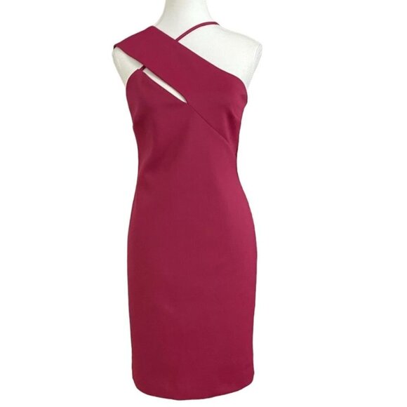 MARCIANO LADY LIKE SCUBA DRESS IN BLUSHING BERRY COLOR - STYLE O2G8016331Z - M - Picture 2 of 10